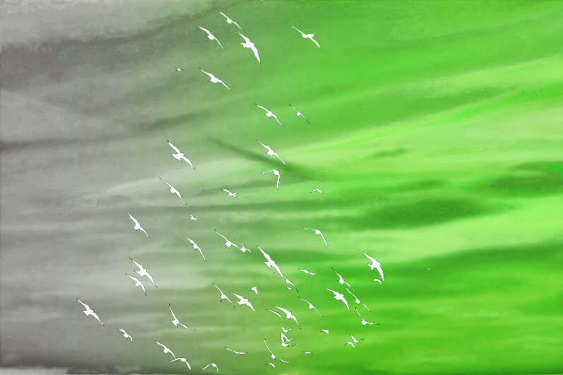 WhatsApp Image 2026-01-15 at 06.07.19